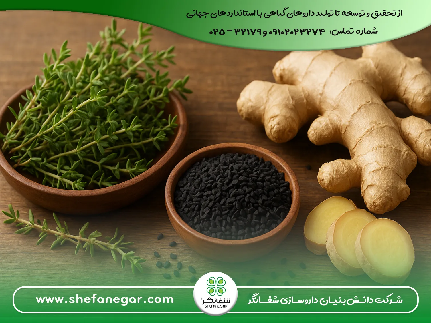آویشن-،-زنجبیل-،-سیاهدانه