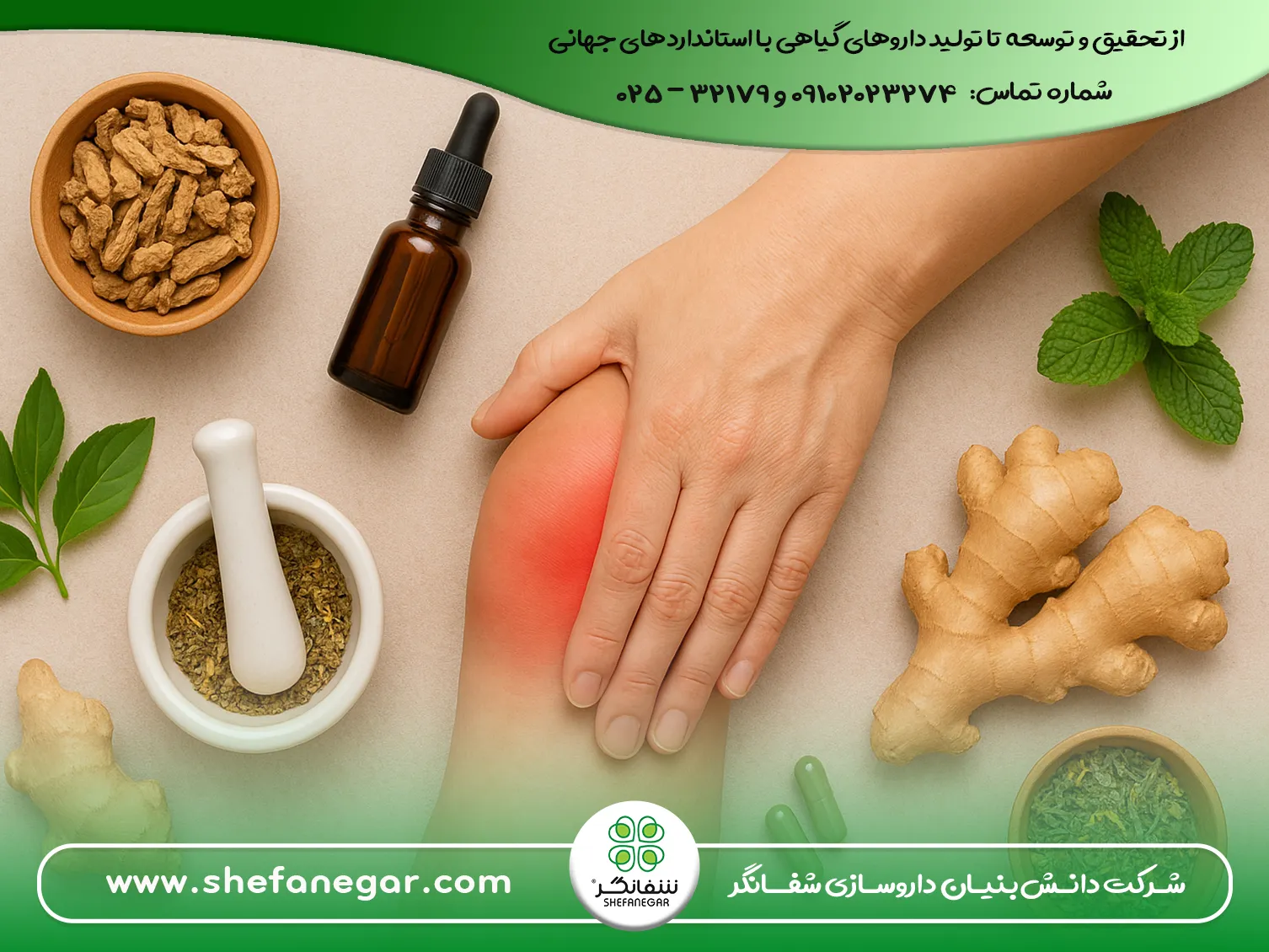 کاهش-درد-مفاصل-ها-و-عضلات-شفانگر