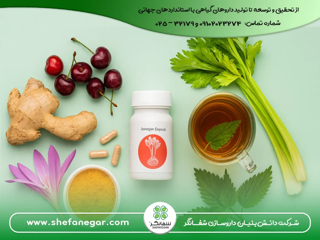 برای-درد-نقرس-درمان-نقرس-چی-بخوریم؟ داروی-گیاهی-کپسول-سورنجان-شفانگر