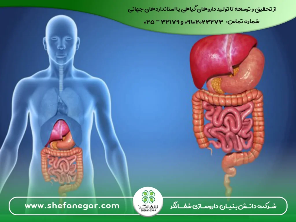 بهبود-دستگاه-گوارش-و-دفع-طبیعی-با-داروهای-گیاهی---ایارج-فیقرا-شفانگر
