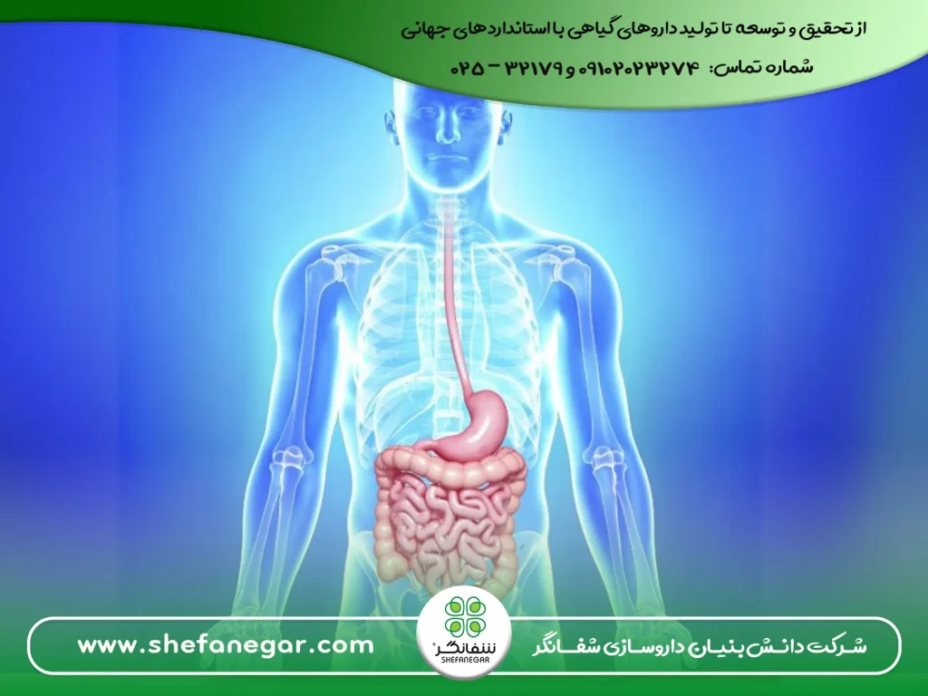 بهبود-دستگاه-گوارش-و-دفع-طبیعی-و-یبوست-چی-بخوریم؟