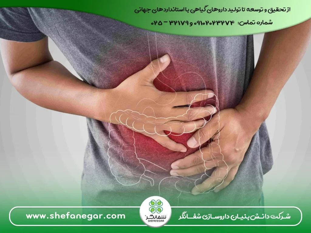 بهترین-راهکار-برای-بهبود-سریع-هضم-غذا-و-درمان-سوءهاضمه-قرص-بلغم(دواء-البلغم)-شفانگر-