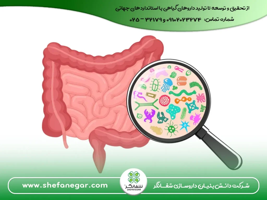 نقش-محور-روده–مفصل-در-روماتیسم--میکروبیوم-روده--قرص-بلغم-(-دواء-البلغم)-شفانگر
