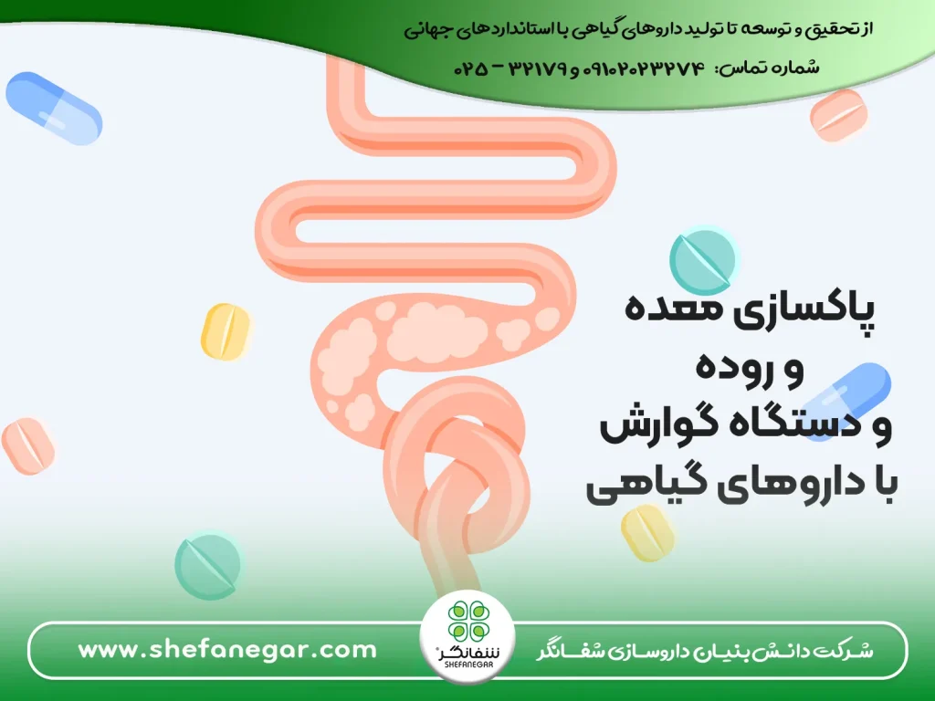 پاکسازی-معده-و-روده-و-دستگاه-گوارش-با-داروهای-گیاهی---ایارج-فیقرا