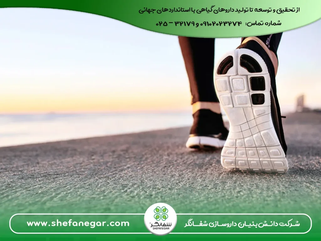 پیاده-روی-برای-سلامتی-راه-رفتن--ورزش-آرام