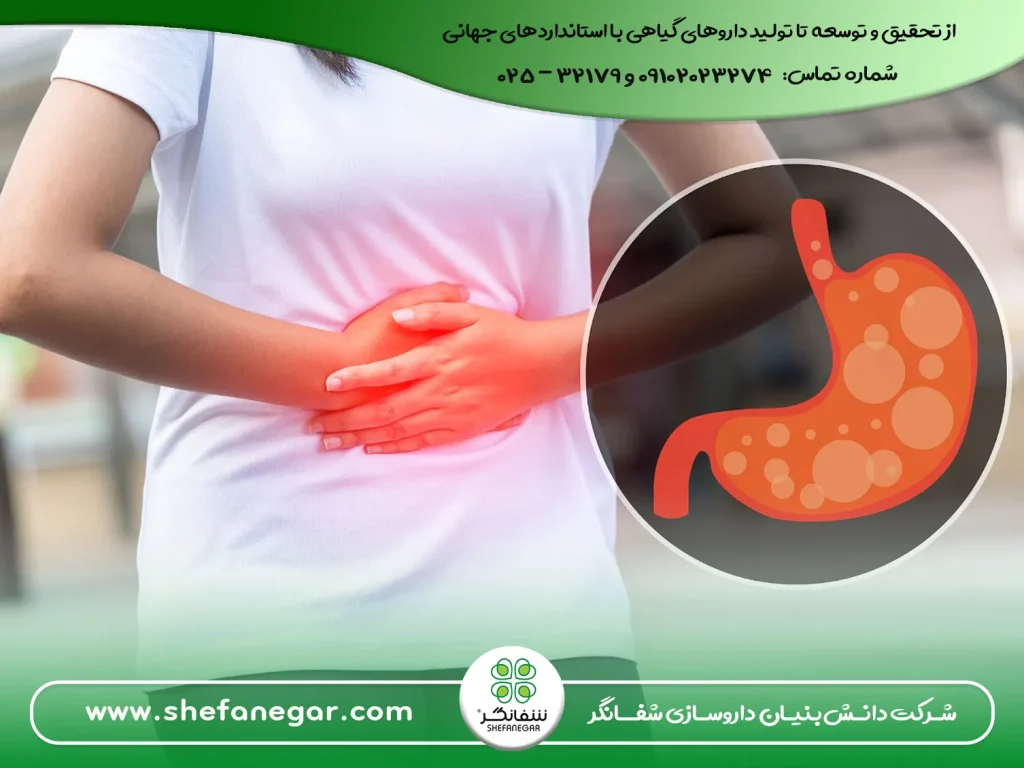 بهترین-درمان-گیاهی-و-اصولی-کاهش-نفخ-شدید-شکم-قرص-بلغم(دواء-البلغم)-شفانگر