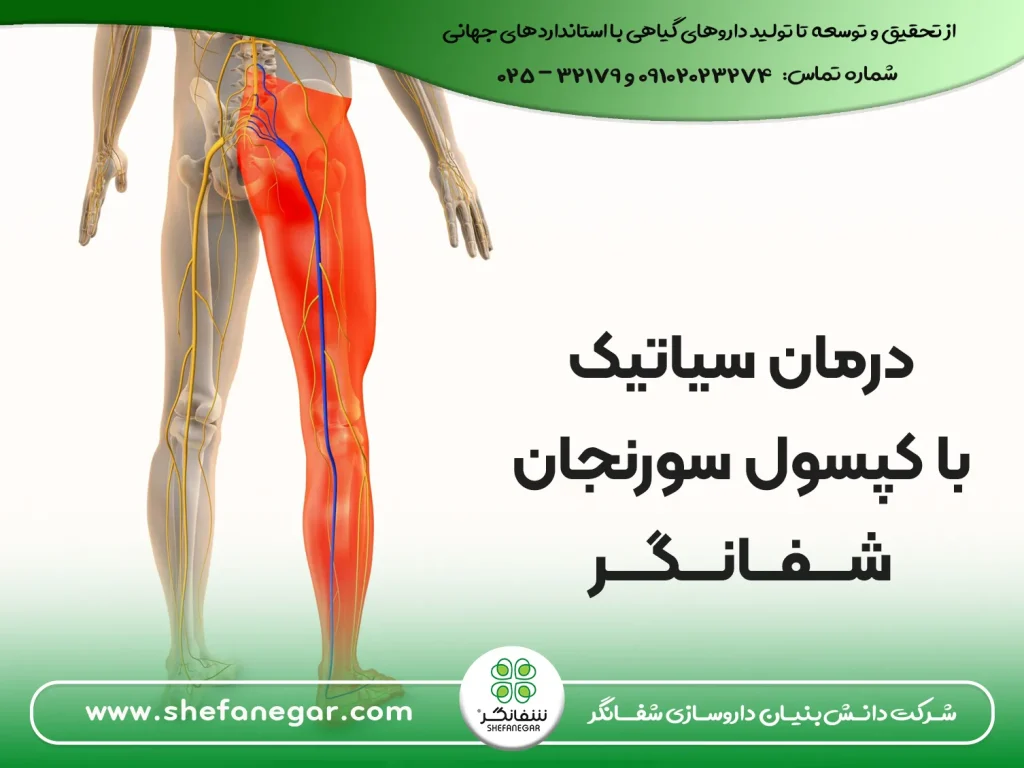 درمان-درد-سیاتیک-و-پای-چپ-و-راست-با-کپسول-سورنجان-شفانگر