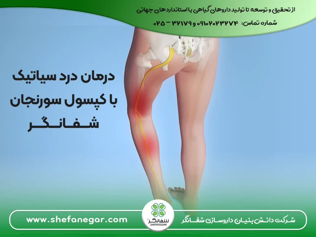 درمان-درد-سیاتیک-و-کمردرد-با-کپسول-سورنجان-شفانگر