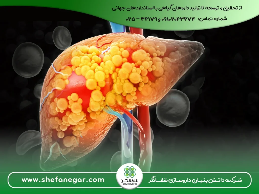 راهنمای-جامع-درمان-طبیعی-کبد-چرب-گرید-۱و۲-+-پاکسازی-و-تقویت-کبد-قرص-بلغم(دواء-البلغم)-شفانگر