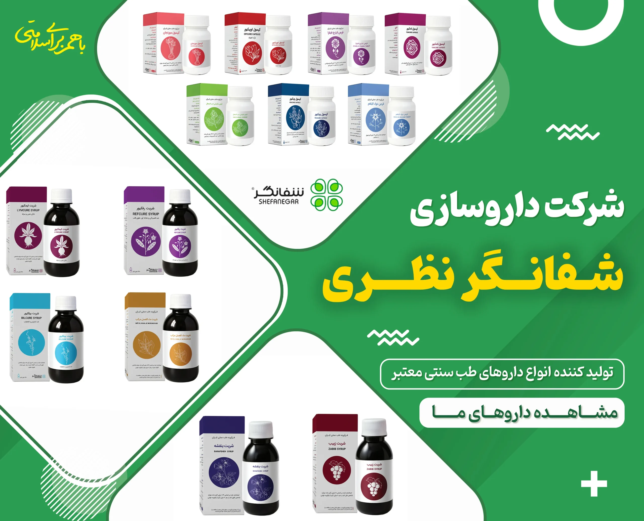 شرکت داروسازی دانش بنیان نظری