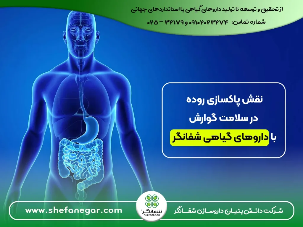 پاکسازی-روده-در-سلامت-گوارش-با-داروهای-گیاهی-شفانگر