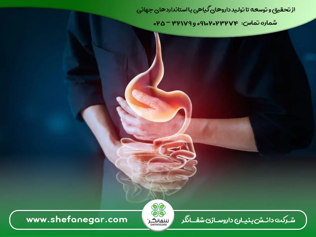 بهترین-قرص-برای-هضم-معده-و-نفخ---کپسول-گل-شفانگر