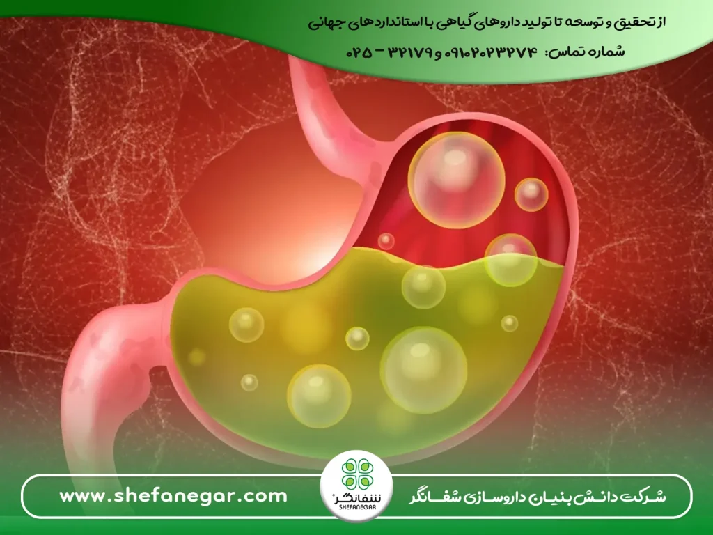 بهترین-مسکن-گیاهی-و-فوری-درد-معده-در-خانه