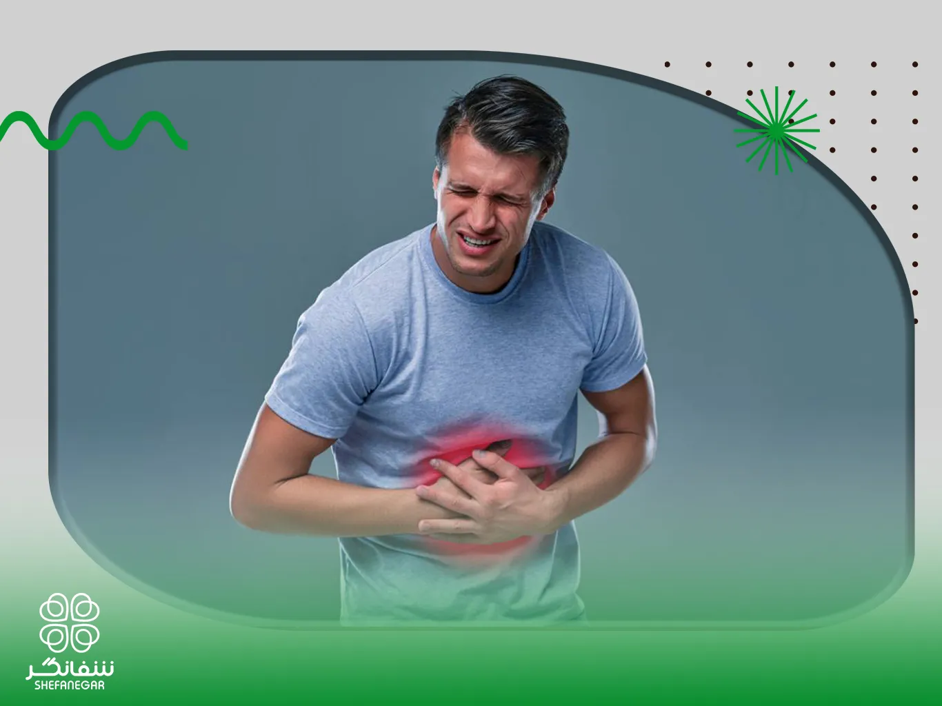 بهترین-گیاهان-دارویی-برای-هضم-سریع-غذا-که-باید-بدانیم
