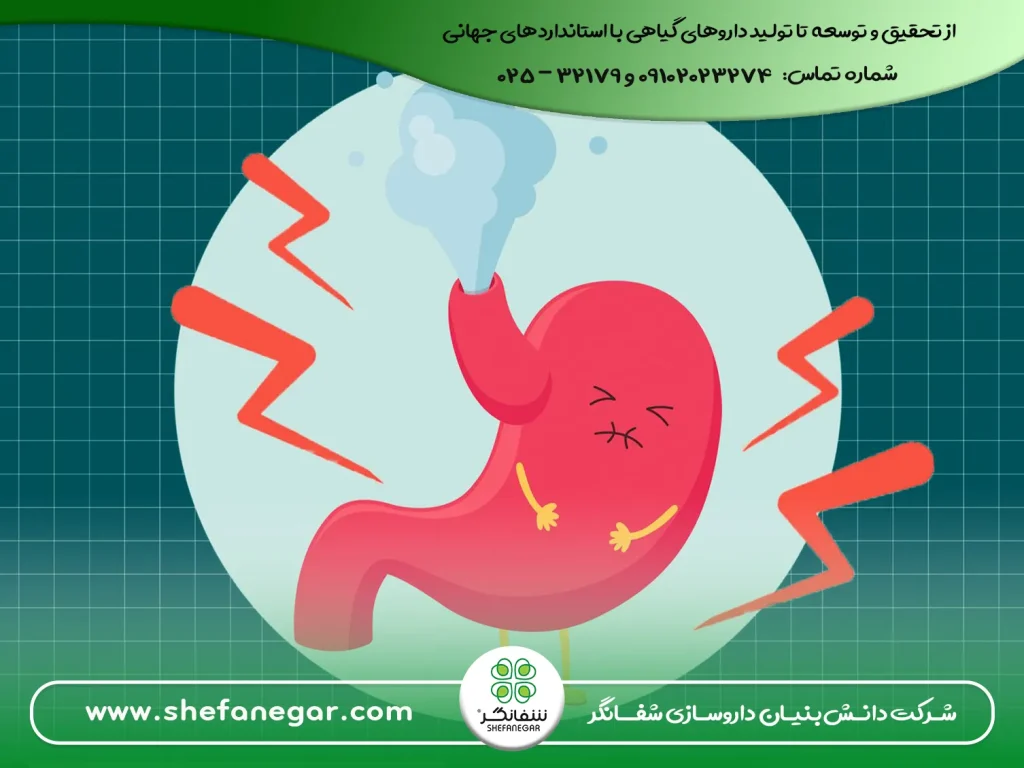 درمان-نفخ-و-رطوبت-معده-با-روش_های-گیاهی-شفانگر