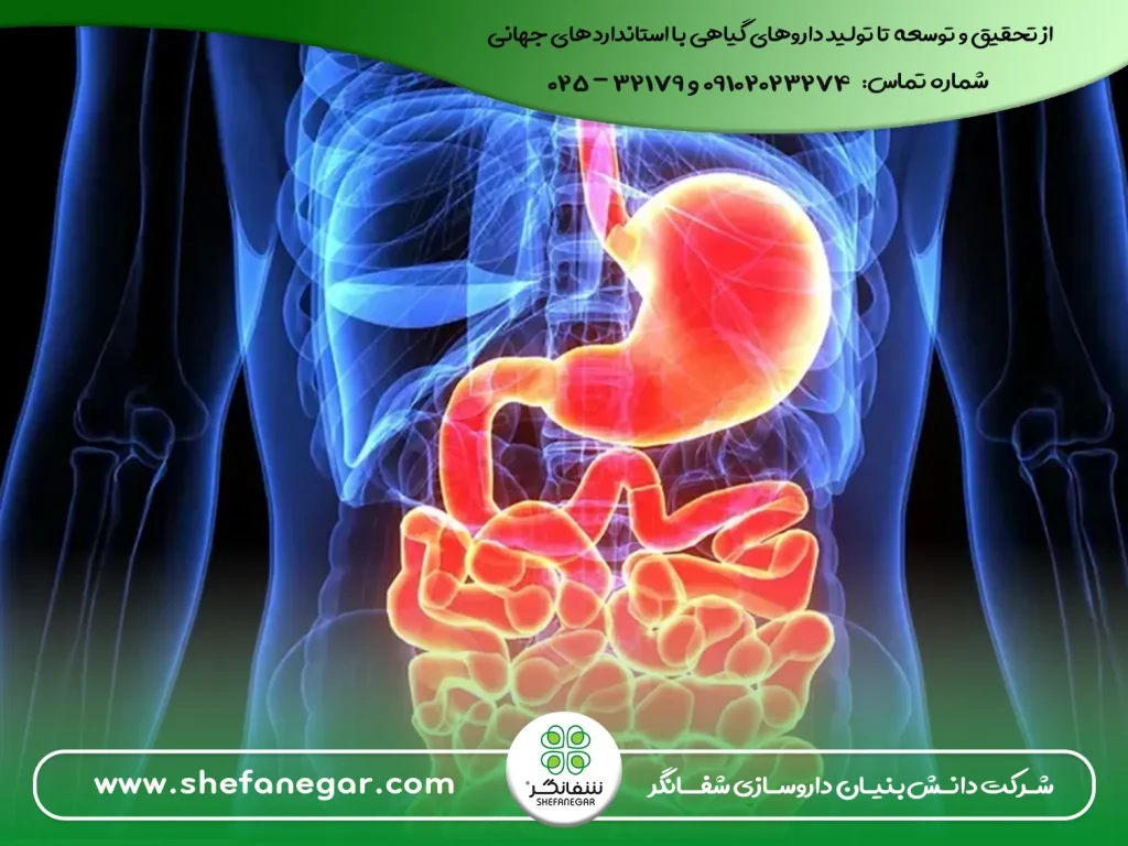 درمان-گیاهی-اسهال-و-ترش-کردن-معده-با-قرص-بلغم-شفانگر