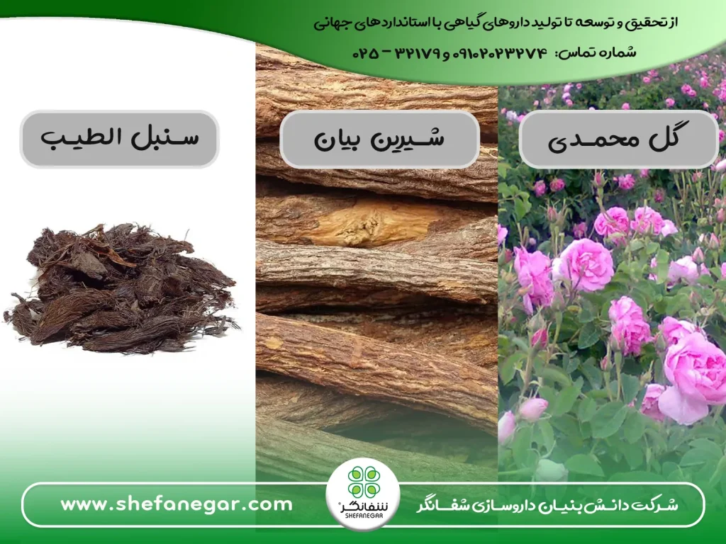 سنبل-الطیب-؛-گل-محمدی-،-شیرین-بیان-شفانگر