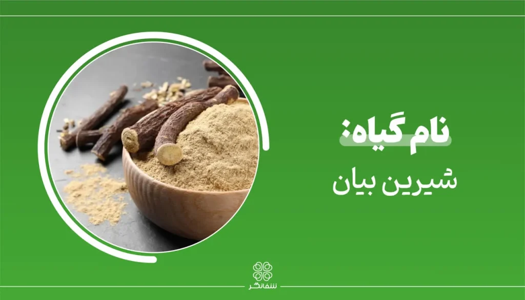 شربت زوفای شفانگر- معرفی گیاه شیرین بیان liquorice