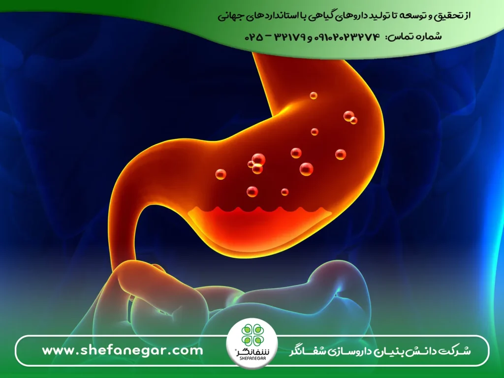 علت-و-درمان-سوء-هاضمه-و-درد-معده-با-قرص-بلغم-شفانگر