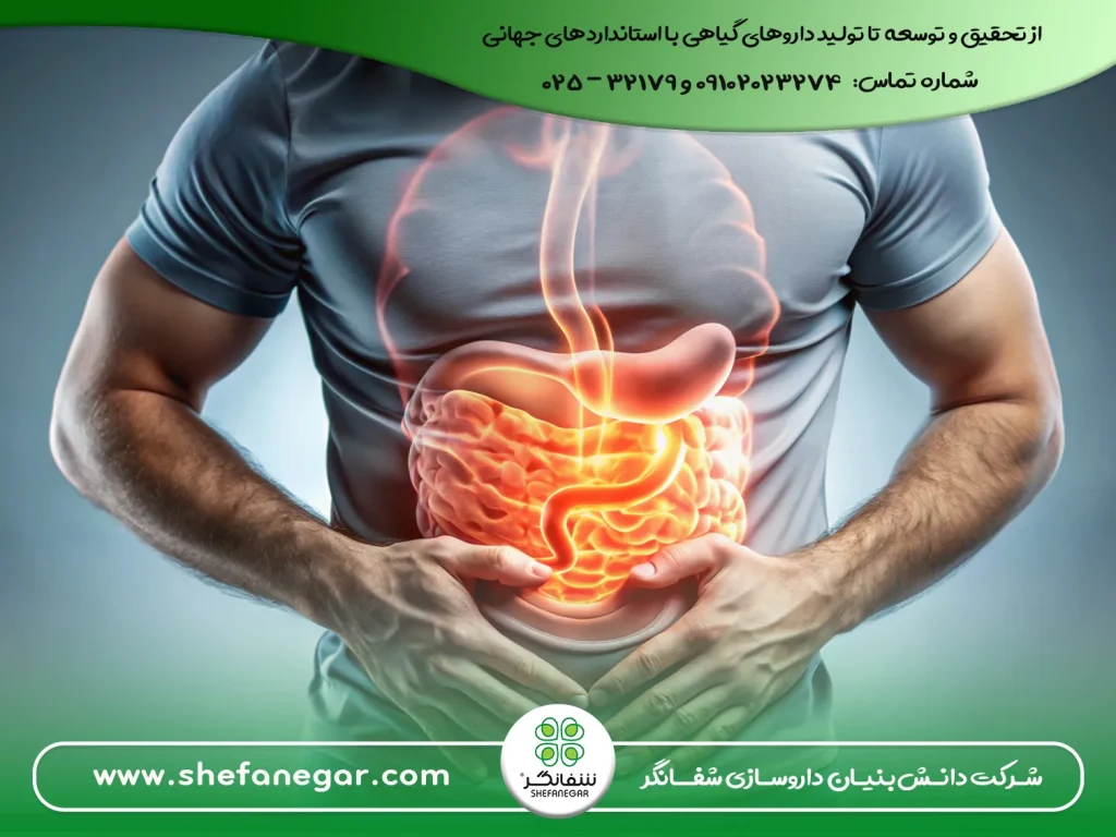 قرص-هضم-کننده-قوی-غذا-سریع---کپسول-گل-شفانگر