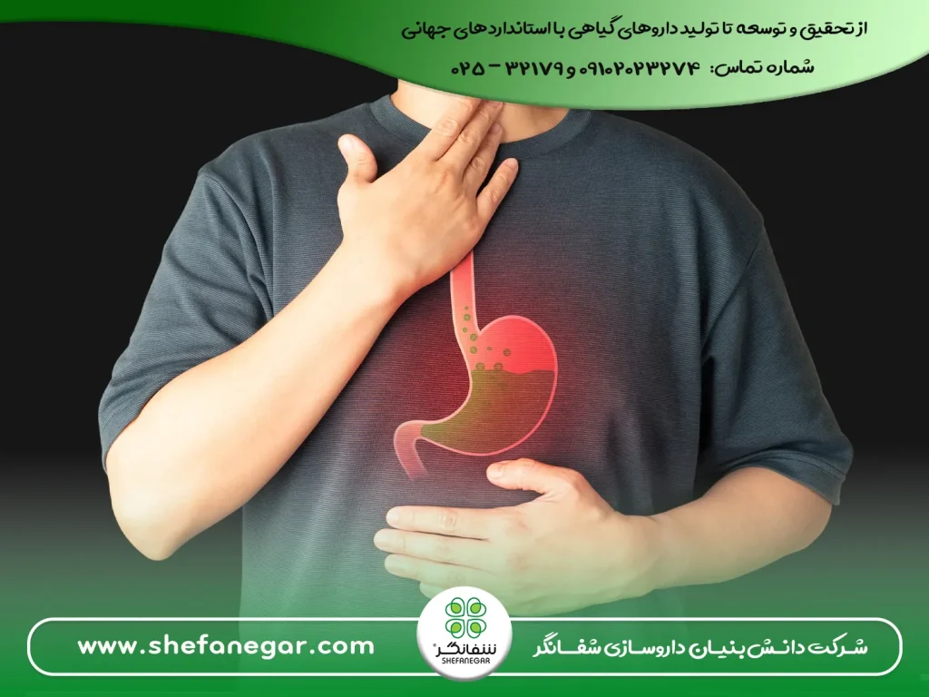 معرفی-بهترین-مسکن-گیاهی-برای-معده-درد-های-عصبی-شفانگر