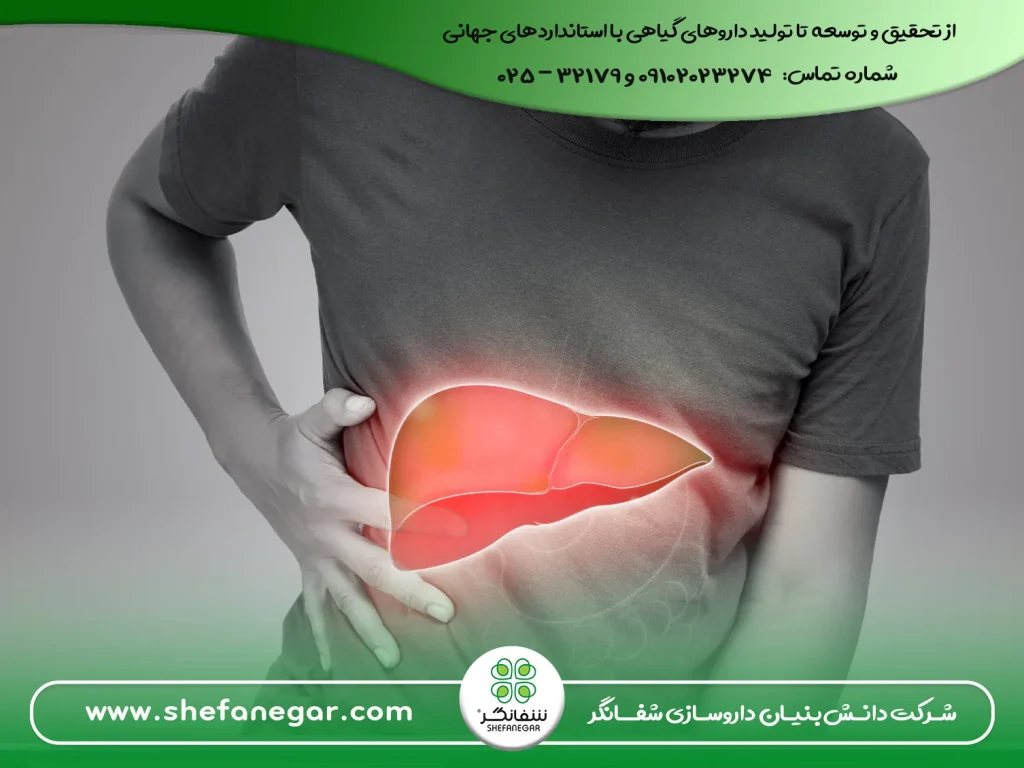 هپاتیت-چیست؟-درد-کبد-و-درمان-آن-شفانگر