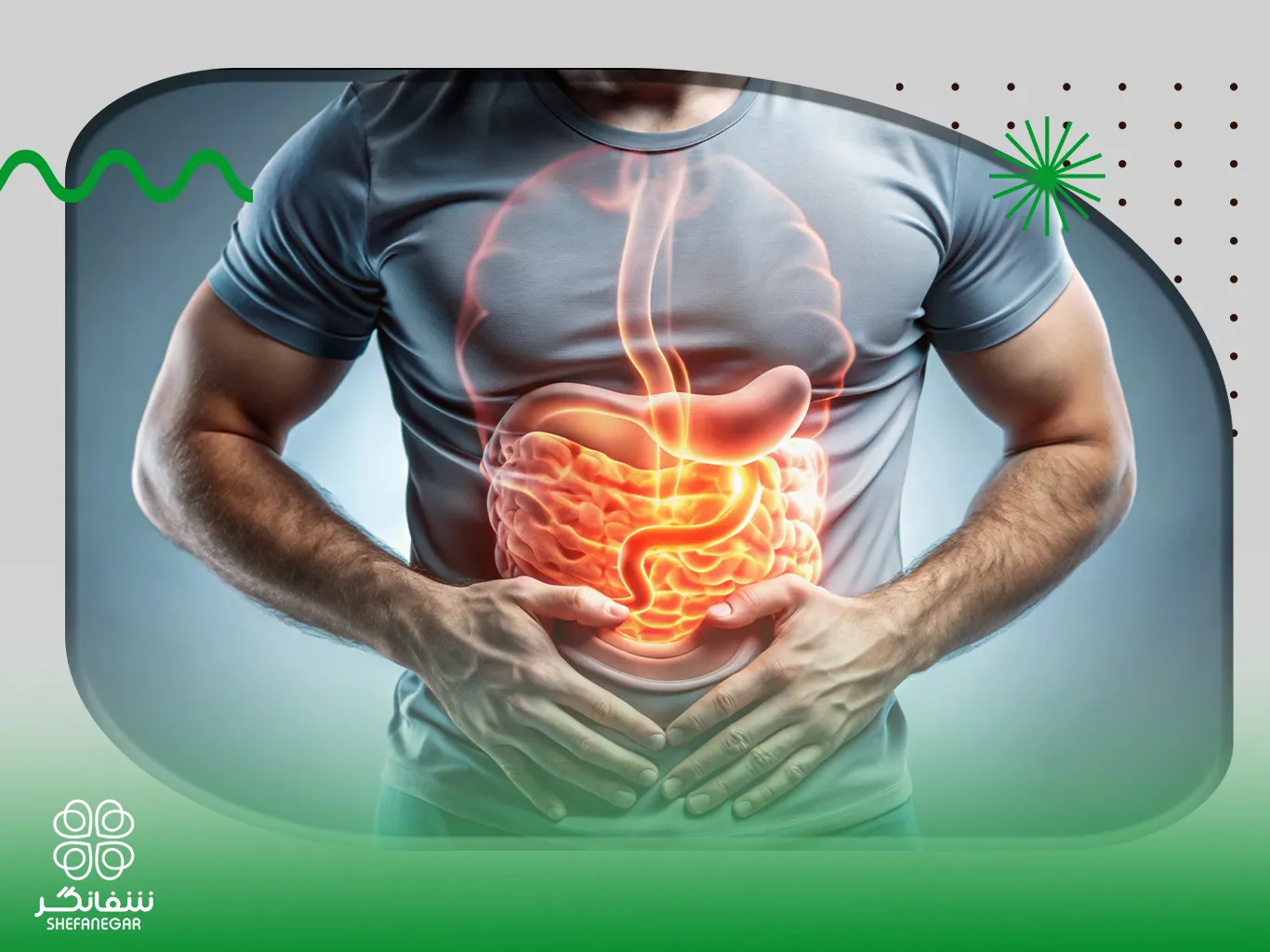 کپسول-گل-شفانگر-هضم-راحت،آرامش-معده-و-پاکسازی-دستگاه-گوارش