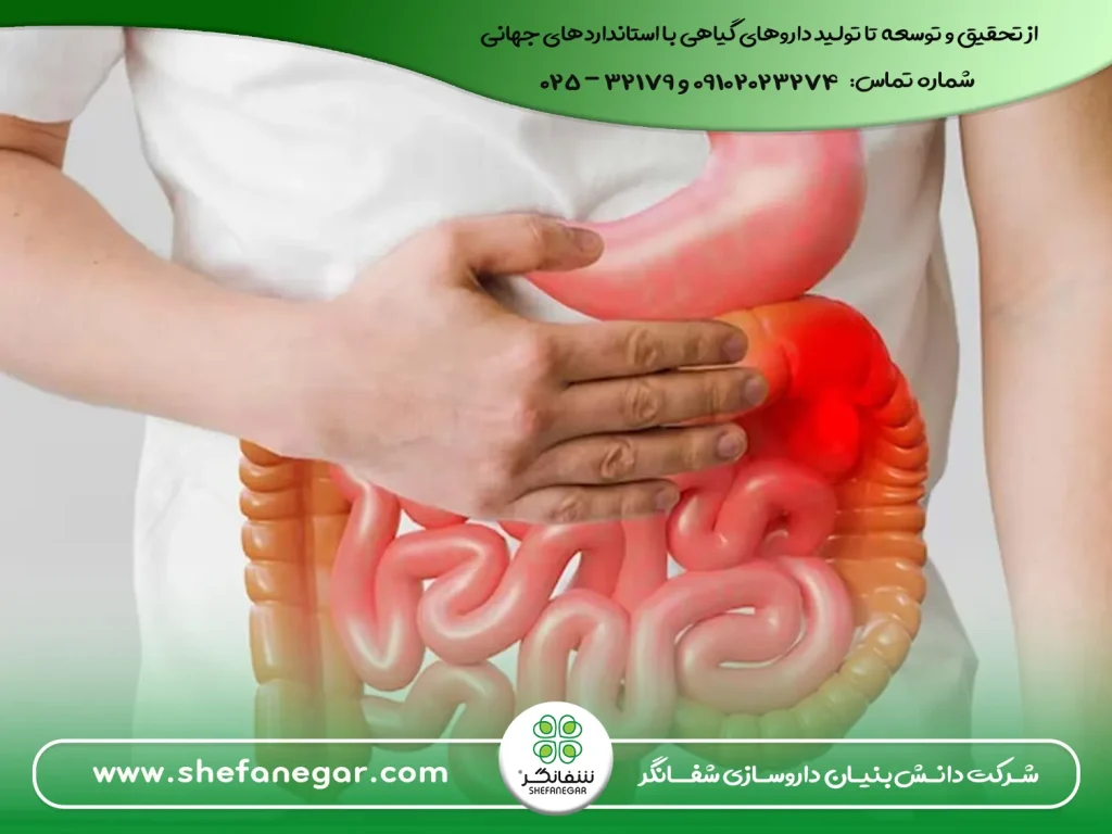گیاهان-دارویی-قوی-بهبود-دهنده-هضم-غذا-با-کپسول-گل-تامکیور-شفانگر